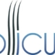 Follicum logo