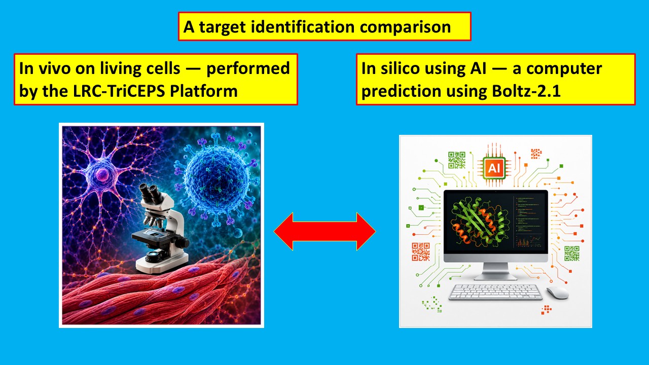 dualsystems-blog-august-2026-can-it-be-replacesd-by-ai